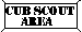 cub_scouts